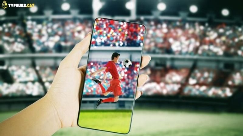 Soi Kèo Đá Banh - Dự Đoán Tỷ Lệ Kèo Chuẩn 2025 3 soi-keo-da-banh-typhu88-co-uy-tin-khong?-nhan-dinh-tu-nguoi-dung